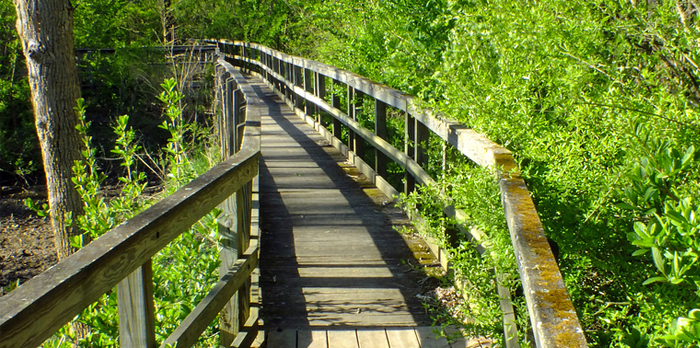 Walking Trail With Bridge